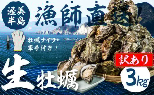 【先行予約】訳あり 殻付き 生牡蠣 3kg 加熱用 軍手・牡蠣ナイフ付 牡蠣 カキ かき 生 殻付牡蠣 フライ 鍋 バーベキュー BBQ 海鮮 魚介 魚貝 貝 魚介類 新鮮 渥美半島 田原市 愛知県 国産 海産