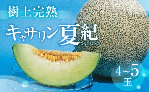 ys\zY@؂񂿂̃LTċI ㊮n 4ʁ`5 5kg  LT  n t[c ʕ fU[g _ƒ  nmcs15000ʕEt[c