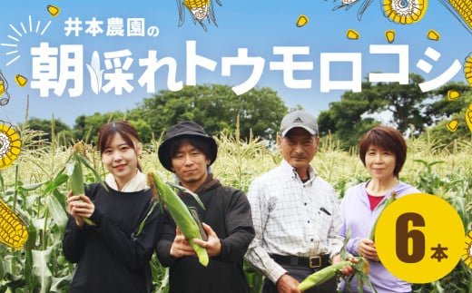 【先行予約】井本農園の朝採れトウモロコシ 6本 とうもろこし デザート 農家直送  朝採れ コーン 野菜 キャンプ BBQ バーベキュー おやつ 田原市 渥美半島 愛知県 夏 旬愛知県田原市6000野菜