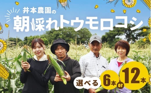 ys\z{_̒̂gERV 12{ Ƃ낱 fU[g _ƒ  ̂ R[  Lv BBQ o[xL[  cs  m  {mcs11000