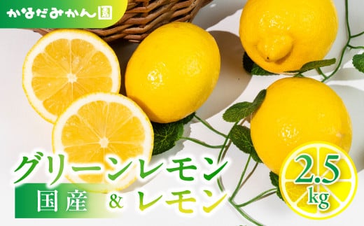 旬のレモン 2.5kg レモン グリーンレモン 檸檬 緑 グリーン レモン 柑橘 柑橘類 フルーツ 果物 旬 レモネード レモン ケーキ レモンティー に 愛知県 田原市 渥美半島愛知県田原市10000果物・フ