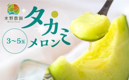 【先行予約】 2026年6月中下旬よりお届け【3〜5玉】タカミメロン 5kg 3〜5玉 水野農園愛知県田原市12000果物・フルーツメロン・スイカ