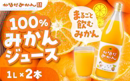 100% みかんジュース 1L × 2本 みかん みかんジュース 蜜柑 ミカン ミカンジュース みかん100% 柑橘 柑橘類 フルーツ 果物 旬 愛知県 田原市 渥美半島愛知県田原市9000お茶・飲料果汁・野菜飲