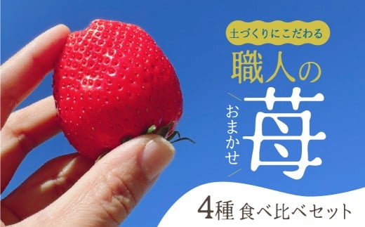 【先行予約】安心安全!職人が作るおまかせ苺  4種 食べ比べセット いちご 苺 おまかせ のため 訳あり 食べ比べ セット 安心 安全 国産 愛知県 田原市 渥美半島愛知県田原市32000果物・フル
