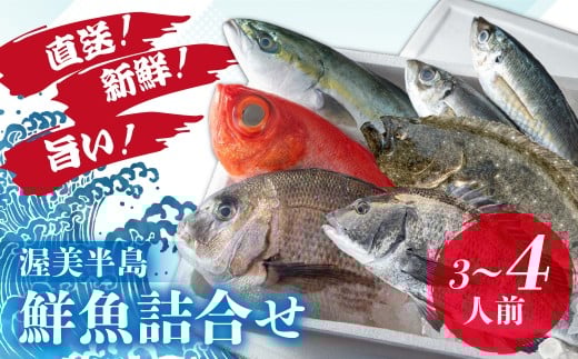 伊良湖直送 昼採れ鮮魚詰め合わせ特選セット 下処理済み 魚セット 愛知県 田原市 海鮮 魚介類 魚 鮮魚 鮮魚セット 詰合せ 魚 お魚愛知県田原市30000魚介・海産物鮮魚