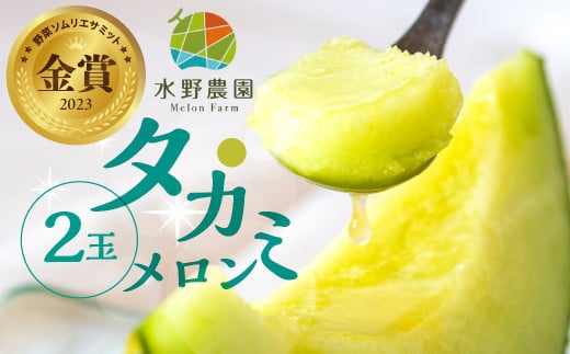 【先行予約】2026年6月中下旬よりお届け 【2玉】水野農園産タカミメロン 2玉愛知県田原市9000果物・フルーツメロン・スイカ