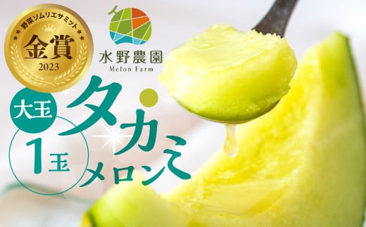 【先行予約】2026年6月中下旬よりお届け 水野農園産タカミメロン 大玉1玉愛知県田原市6000果物・フルーツメロン・スイカ