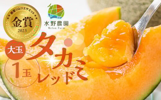 【先行予約】2026年6月発送 水野農園産タカミレッド 大玉1玉愛知県田原市6000果物・フルーツメロン・スイカ