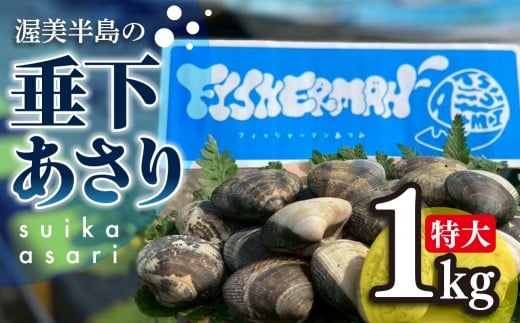 【先行予約】どでかい!垂下あさり 1kg サイズ 特大 あさり ブランドあさり 浅利 ダシ 出汁 味噌汁 国産 アサリ 愛知県 田原市 新鮮 砂抜き 海鮮 魚介類 魚介 貝 人気 パスタ などに愛知県田