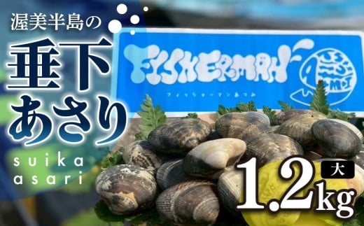 【先行予約】どでかい!垂下あさり 1.2kg サイズ 大 あさり ブランドあさり 浅利 ダシ 出汁 味噌汁 国産 アサリ 愛知県 田原市 新鮮 砂抜き 海鮮 魚介類 魚介 貝 人気 パスタ などに愛知県田原