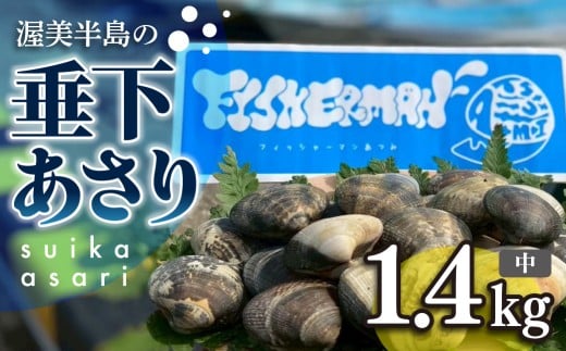 【先行予約】どでかい!垂下あさり 1.4kg 中 サイズ あさり ブランドあさり 浅利 ダシ 出汁 味噌汁 国産 アサリ 愛知県 田原市 新鮮 砂抜き 海鮮 魚介類 魚介 貝 人気 パスタ などに愛知県田原