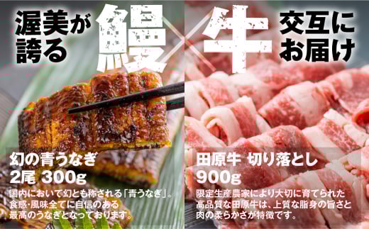 幻の青うなぎ&田原牛 堪能 定期便 3回お届け愛知県田原市41000魚介・海産物うなぎ