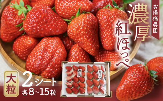 先行予約 【5月中お届け】紅ほっぺ 8〜15粒 2シート愛知県田原市13000果物・フルーツいちご