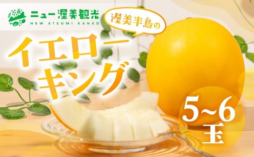 【先行予約】イエローキングメロン 5 〜 6玉 入り( 計 4kg 以上 )メロン イエロー キング メロン フルーツ 果物 愛知県 田原市 渥美半島 お取り寄せ スイーツ ギフト 贈り物 プレゼント 贈答