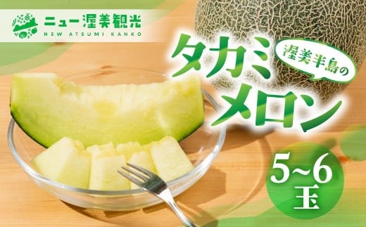 【先行予約】タカミメロン 5 〜 6玉 入り( 計 4kg 以上 )メロン タカミメロン フルーツ 果物 愛知県 田原市 渥美半島 お取り寄せ スイーツ ギフト 贈り物 プレゼント 贈答 贈答用 ニュー渥美