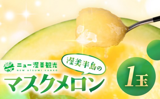 【先行予約】マスクメロン 1玉 メロン めろん マスクメロン フルーツ 果物 愛知県 田原市 渥美半島 お取り寄せ スイーツ ギフト 贈り物 プレゼント 贈答 贈答用 ニュー渥美 観光 1玉 2玉 3玉