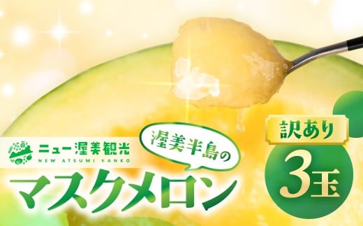 【先行予約】訳あり マスクメロン 3玉 メロン めろん マスクメロン フルーツ 果物 愛知県 田原市 渥美半島 お取り寄せ スイーツ ギフト 贈り物 プレゼント 贈答 贈答用 ニュー渥美 観光 1玉 2