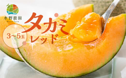 【先行予約】2026年6月発送【3〜5玉】 タカミレッド 5kg 3〜5玉 水野農園愛知県田原市12000果物・フルーツメロン・スイカ