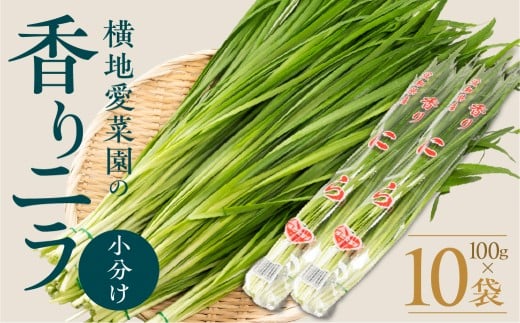 横地愛菜園の 香りニラ  100g小分け袋  ニラ 小分け 国産 100g  餃子 もつ鍋 野菜炒め に 野菜 旬 料理 葉物野菜 にら 愛知県 田原市 渥美半島愛知県田原市9000野菜・きのこその他 野菜