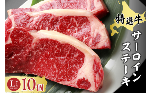 特選牛サーロインステーキ!Lサイズ×10個_S006-0012北海道清水町190000肉牛肉