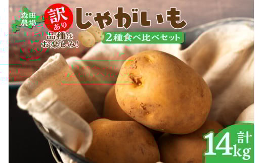 yʌz2i͂IkCY 󂠂肶Ⴊ Ƃ ق ₩ Ⴊ   14kg_S001-0011kC19000؁ÊႪEC