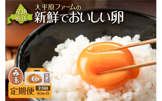 【6回定期便】大平原ファームの新鮮でおいしい卵 計40個(赤卵)×6ヶ月_S035-0017北海道清水町68000卵・乳製品卵(鶏、烏骨鶏等)