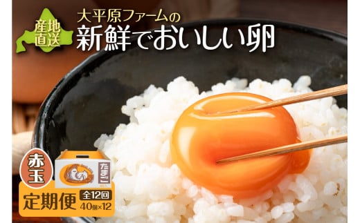 【12回定期便】大平原ファームの新鮮でおいしい卵 計40個(赤卵)×12ヶ月_S035-0018北海道清水町134000卵・乳製品卵(鶏、烏骨鶏等)