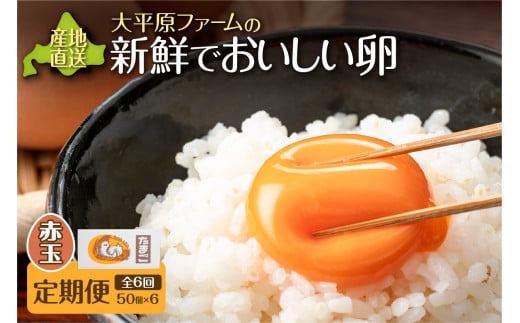 【6回定期便】大平原ファームの新鮮でおいしい卵 計50個(赤卵)×6ヶ月_S035-0020北海道清水町80000卵・乳製品卵(鶏、烏骨鶏等)