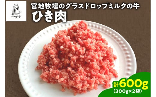 {nq̃OXhbv~N̋ Ђ 300g×2 600g ֗ȏ gCX ~[g\[X no[O _S018-0009kC17000