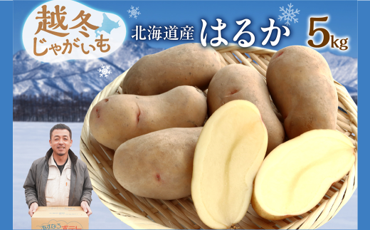 zNzN ܁`I ቷIkCY z~Ⴊ ͂邩 5kg Ⴊ   ͂邩 Yn z~ 5kg_S041-0009kC8000؁ÊႪEC