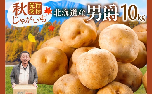 今が旬!すぐ届く!10月より発送開始!先行受付!ホクホク!しっとりなめらか! 北海道産 男爵 いも じゃがいも 男爵いも 約10kg じゃがいも いも 芋 産地直送 秋_S041-0006北海道清水町9000野