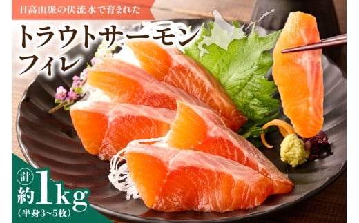 トラウトサーモンフィレ 1kg(半身3~5枚) フライやムニエル、お刺身や手巻き寿司まで!活用方法いろいろ!魚 魚介類 刺身 小分け 冷凍 鮭 さけ 海鮮 トラウト サーモン_S042-0002北海道清水町2000