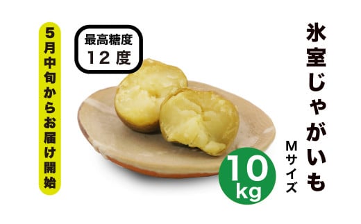 ys\񏤕izy5{甭\IzX[NC 10kgs^tyƂ܂܂L_Ƌgz Ⴊ WKC  [NC  s\ kC [AXAB044]kC^