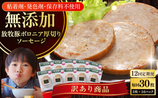 yS12ցzy󂠂zy܁EF܁Eۑsgpz q {jA؂XCX\[Z[W 3x10Zbgi130g/pbNjs^tyt@[}[Yt@Ng[Ёz 