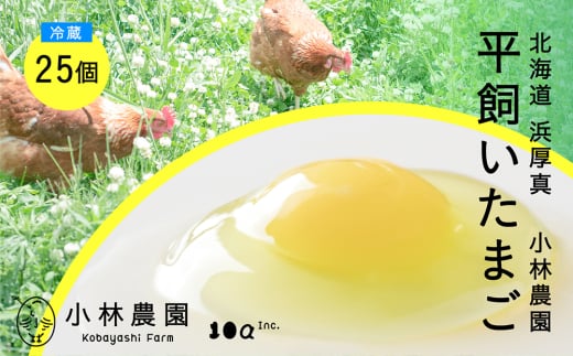 y①zz̖򥕽L 25s^tyeA[Ёz ܂  { ʎq   kC   [AXAN011]kC^9000Eii{AG{