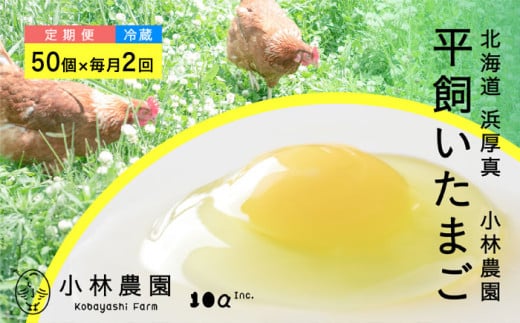 y2ES2ցzy①zz̖򥕽L 50s^tyeA[Ёz ܂  { ʎq   kC  [AXAN019]kC^28000E