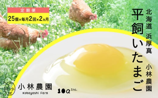 y2ES4ցzy퉷zz̖򥕽L 25s^tyeA[Ёz ܂  { ʎq   kC  [AXAN037]kC^32000E