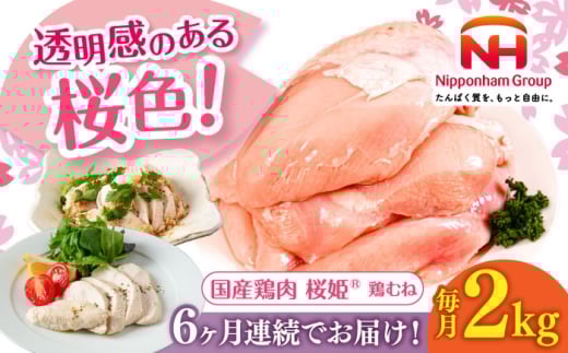 yS6ցzP {ނ 2kgs^ty{t[hЁz P Y{ { { Ƃ l ނ˓ {ނ Ⓚ kC [AXBM004]kC^48000{