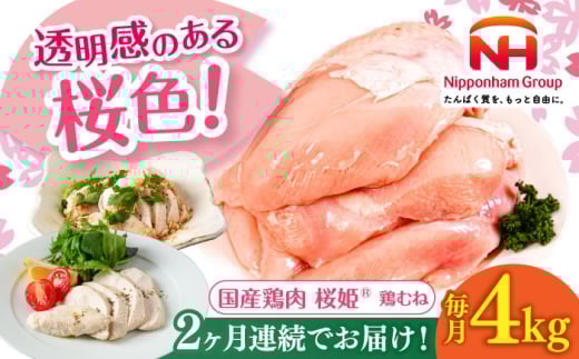 yS2ցzP {ނ v4kgi2kg×2pbNjs^ty{t[hЁz P Y{ { { Ƃ l ނ˓ {ނ Ⓚ kC [AXBM009]kC^24000{