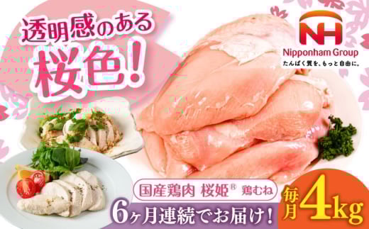 yS6ցzP {ނ v4kgi2kg×2pbNjs^ty{t[hЁz P Y{ { { Ƃ l ނ˓ {ނ Ⓚ kC [AXBM011]kC^72000{