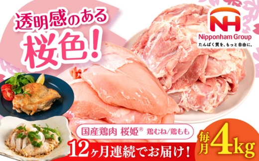 【全12回定期便】桜姫 鶏むね&鶏ももセット 計4kg (鶏むね・鶏もも 各2kg)《厚真町》【東日本フード株式会社】 桜姫 鶏肉 鶏 とり肉 もも肉 鶏もも むね肉 鶏むね トリ 2キロ パック 冷凍