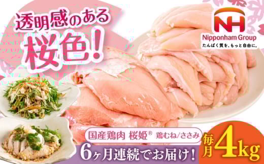 yS6ցzPwV[Zbg v4kgi{ނˁE e2kgjs^ty{t[hЁz P Y{ { { ނ˓ l  ݓ Ⓚ kC [AXBM060]kC^