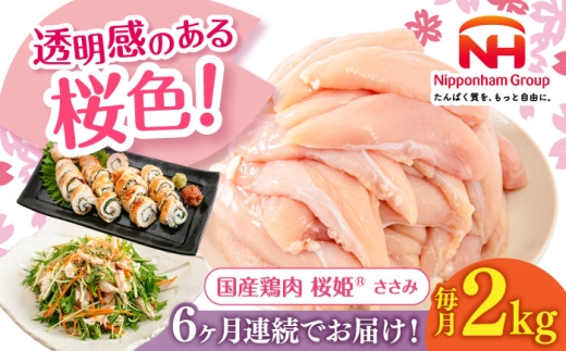 yS6ցzP  2kgs^ty{t[hЁz P Y{ { { Ƃ  TT~ Ⓚ kC [AXBM067]kC^48000{