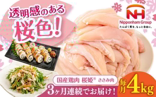 yS3ցzP  v4kgi2kg×2pbNjs^ty{t[hЁz P Y{ { { Ƃ  TT~ Ⓚ kC [AXBM073]kC^36000{