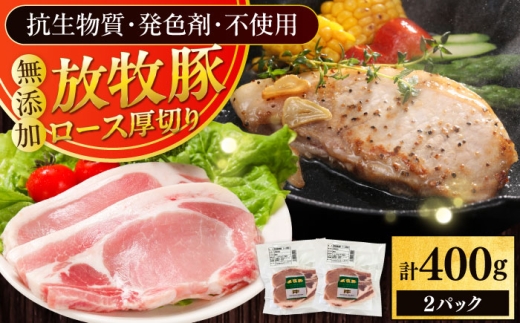 q؃[X ؂ v400gi200g×2js^t@yt@[}[Yt@Ng[Ёz  Ⓚ kC [AXBA139]kC^8000ؓ