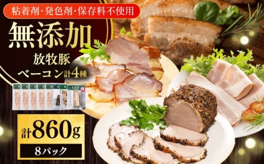 q x[R4Zbg v860g s^tyt@[}[Yt@Ng[Ёz x[R Y Zbg  Hi Ⓚ kC [AXBA152] 20000 2kC^20000ؓ