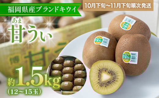 福岡県産ブランドキウイ「甘うぃ」 約1.5kg(12-15玉)福岡県志免町12000果物・フルーツその他 果物・フルーツ