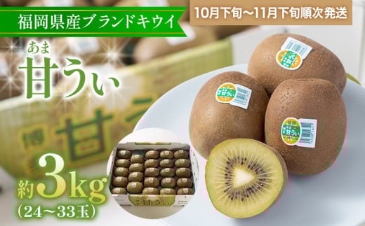 福岡県産ブランドキウイ「甘うぃ」 約3kg(24-33玉)福岡県志免町17000果物・フルーツその他 果物・フルーツ