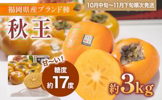 福岡県産ブランド柿「秋王」 秋王・柿 約3kg(8-12玉)福岡県志免町32000果物・フルーツその他 果物・フルーツ