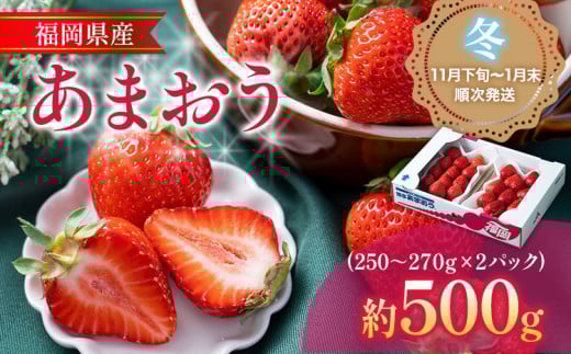 あまおう 福岡産【冬】あまおう 2パック 合計約500g〜540g (1パックあたり約250g〜約270g) いちご 苺 果物 フルーツ 九州産 福岡県産 冷蔵 【11月下旬発送開始予定】福岡県志免町13000果物・フ